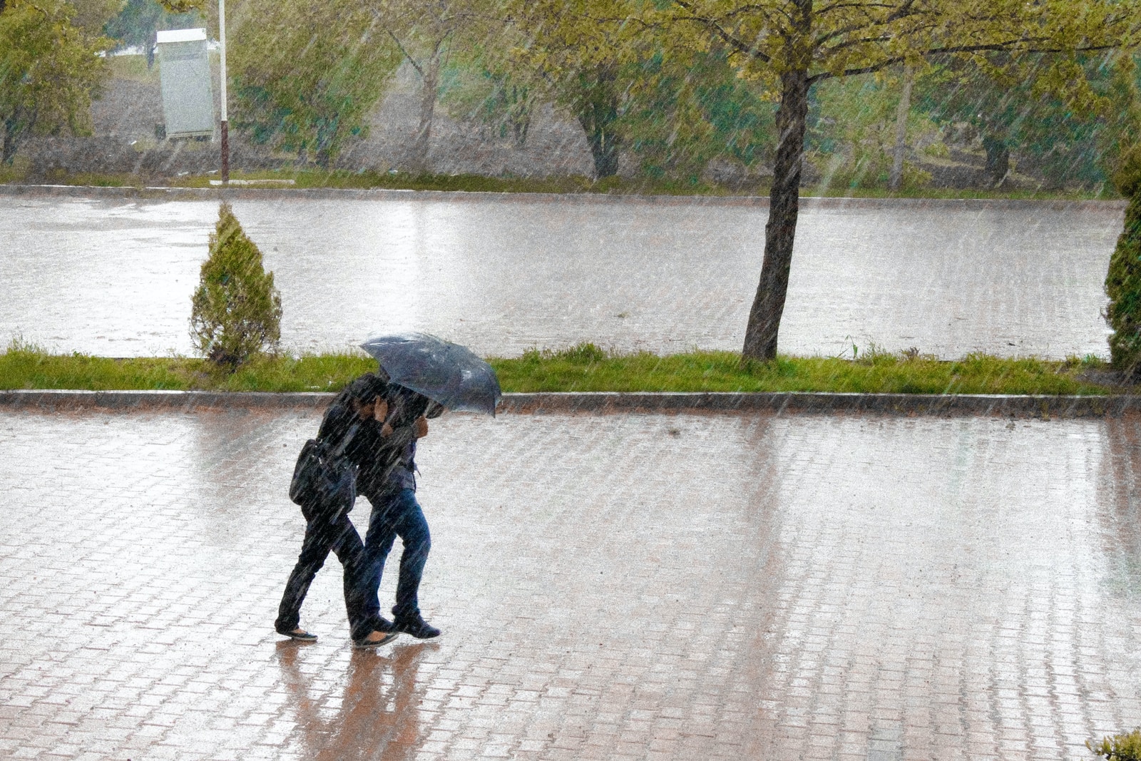 coupe walking in street while raining